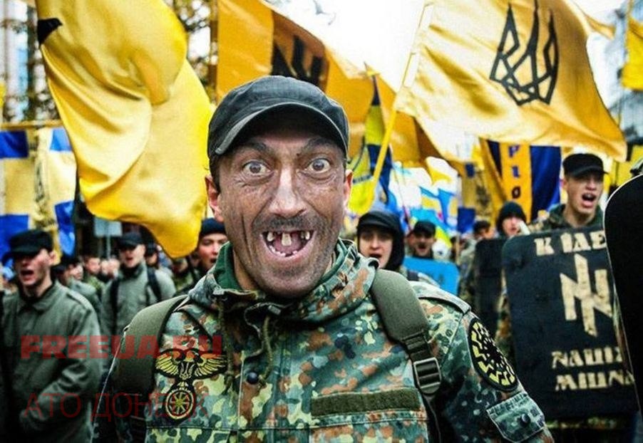 Киевские боевики воруют сами у себя